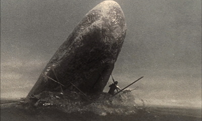 白鲸莫比迪克原型图片